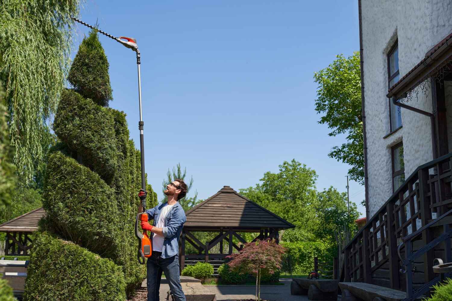 Britton, SD Tree Service Company